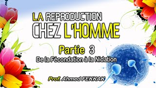 LA REPRODUCTION CHEZ LHOMME  PARTIE 3  De la Fécondation à la Nidation  Prof Ahmed FEKKAK [upl. by Auhsohey]