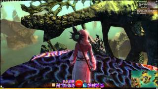 Guild Wars 2 Straits Of Devastation Vista  Sharks Teeth Archipelago West [upl. by Zannini]