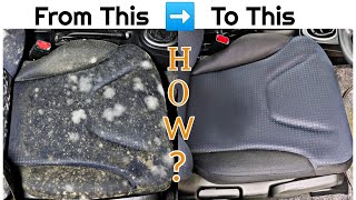 How to Clean MoldFungus from Car Interior Feat Wow My Car [upl. by Albarran]