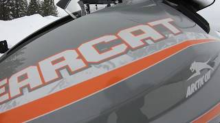 2019 Arctic Cat Bearcat 7000 XT  Walkaround [upl. by Orling]