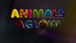 Animals Aglow Lantern Festival at Saint Louis Zoo TV Commercial [upl. by Aziram]