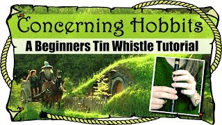 Lord Of The Rings  Concerning Hobbits  BEGINNERS TIN WHISTLE TUTORIAL [upl. by Moazami756]