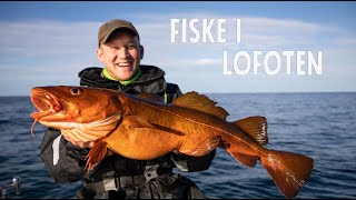 Fiske i Lofoten Del 2 Eng Sub  Ett Gott Land [upl. by Pangaro]