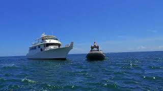 80 Hatteras into Harborage Safe Harbour with Towboat US Stuart in a 2 boat tow captainretriever [upl. by Vic]