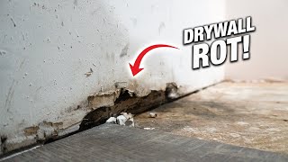 How To Fix Rotten Moldy Drywall From Water Damage DIY For Beginners [upl. by Melleta]