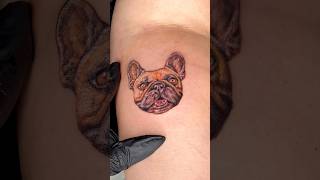 Tatuaggio Bulldog francese microrealistico 🐶 by ETHEREA TATTOO [upl. by Llenrod701]