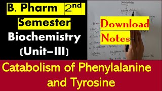 56 Catabolism of Phenylalanine and Tyrosine  B Pharm 2 Sem Biochemistry  Bhushan Science [upl. by Llebasi]