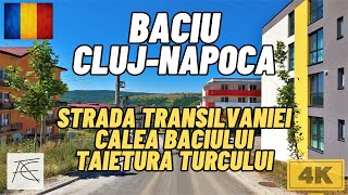 Baciu Judetul Cluj Romania Comuna BaciuClujNapoca Baciu 4k [upl. by Aicilla814]