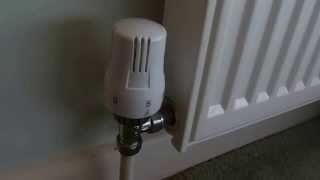 How to fix a thermostatic radiator valve if your radiator is not heating up [upl. by Gayla413]