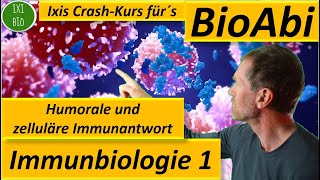 Immunbiologie 1 Humorale  zelluläre Immunantwort  Anwendungsaufgaben analysiert  Fit für´s BioAbi [upl. by Erodavlas344]