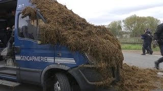 Florange les agriculteurs répandent du fumier pour interpeller François Hollande [upl. by Stoat]