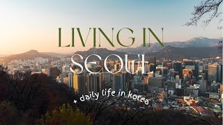 Daily Life in South Korea Vlog  Day 6 [upl. by Assirek54]