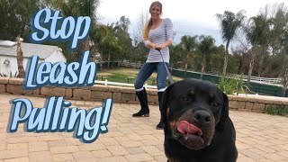 Simple method to help pulling on leash [upl. by Eeryt]