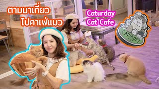 ตามมาเที่ยว น้องแก้มไปคาเฟ่แมว  Caturday Cat Cafe ราชเทวี [upl. by Aiekam]