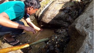 Fishing traditionally in Nepal  दुवाली थुनेको  Hemja  Catfish [upl. by Bradlee]