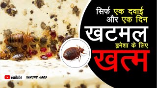 Khatmal marne ki dawa  खटमल मारने का तरीका  एक ही बार में जड़ से खत्म  bedbugs khatmalkidawa [upl. by Elaval]