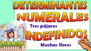 📚DETERMINANTES NUMERALES E INDEFINIDOS 📌Video educativo para niños de primaria [upl. by Nahtanhoj]