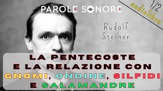 Rudolf Steiner AUDIOLIBRO 12 LA PENTECOSTE E LA RELAZIONE CON GNOMI ONDINE SILFIDI E SALAMANDRE [upl. by Garrick]