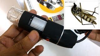 Cara install MICROSCOP DIGITAL USB zoom 1600x pada komputer dan HP [upl. by Dumah140]