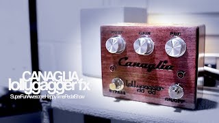 Lollygagger FX Canaglia [upl. by Enilauqcaj75]