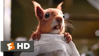 Dolittle 2020  Squirrel Surgery Scene 210  Movieclips [upl. by Neeven349]