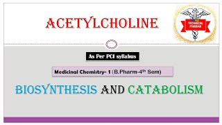 Biosynthesis and Catabolism of Acetylcholine  MEDICINAL CHEMISTRY  BPharm 4th SEMESTER  Technica [upl. by Airbas]