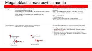 Macrocytic anemia  Hematology  Step 1 Simplified [upl. by Raimundo]