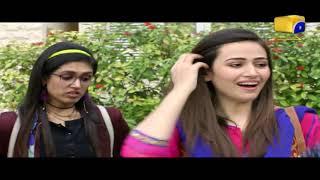 Romeo Weds Heer  Episode 10 Best Moments  HAR PAL GEO [upl. by Sollie454]