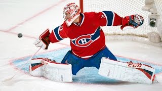 Best Saves in NHL History [upl. by Ahsilef]