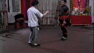 Choy Li Fut  Fighting Applications 16 [upl. by Nickey]