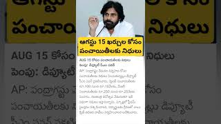 Pawan Kalyan About Independence Day of India [upl. by Philana112]