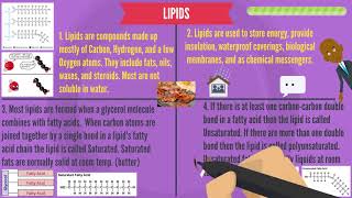 Carbon amp Macromolecules 101 [upl. by Lakim]