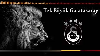 Tek Büyük Galatasaray  Galatasaray Marşları [upl. by Fesoj]