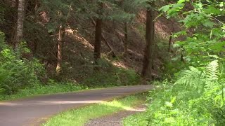 Digital Exclusive BanksVernonia State Trail takes you into forest away from crowds [upl. by Airrat531]