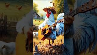 Rooster guitar singer [upl. by Adnesor712]