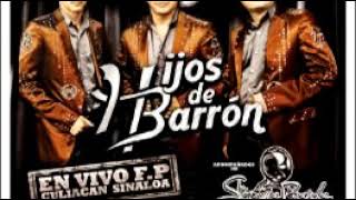 Los Hijos de barron ft la séptima banda mix 🍻2019 [upl. by Nawor]