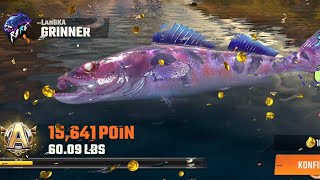 GRINNER FISH LANGKA FISHING Master [upl. by Everrs]