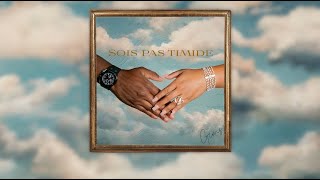 GIMS  Sois pas timide Official Lyrics Video [upl. by Yrogreg948]