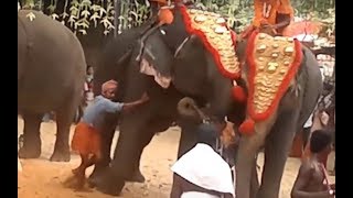 Elephants Rampage At Temple Function  Elephant Attack In Temple Festival [upl. by Goth]