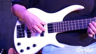 Epiphone Toby Standard IV Bass  Everything You Need To Know [upl. by Namialus]