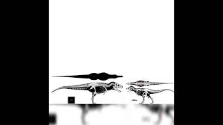 Tarbosaurus And Gorgosaurus Size Comparison [upl. by Dlonyar]