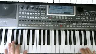 korg pa900 [upl. by Ewer]