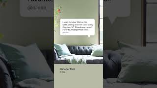 What Customers Love about Benjamin Moore Paint [upl. by Nnylirehs]