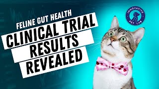 Feline Gut Health Clinical Trial Results with Innovative Pet Lab [upl. by Alban551]