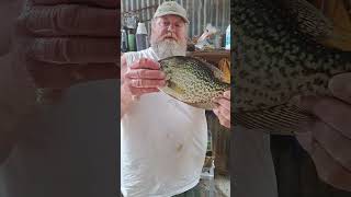 Massive Crappie Catch Unbelievable Haul [upl. by Gardol]