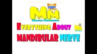 Remember Everything About Mandibular Nerve Mnemonic for USMLE step 1 prep NEETPG [upl. by Nosnirb462]