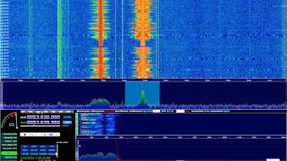 HDSDR  OMNIRig  SDRPlay  Yaesu FT450D [upl. by Sibley]