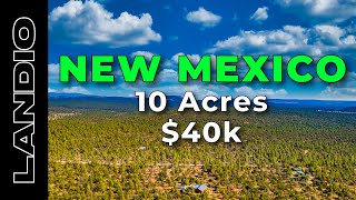 10 Acres of NEW MEXICO Land for Sale • LANDIO [upl. by Roanna]