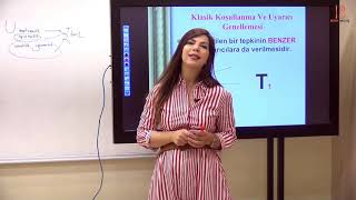 4 Öğrenme Psikolojisi Genel Tekrar IV  Ayşegül ALDEMİR  2020 [upl. by Ellenwahs129]