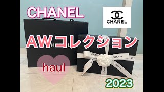 【CHANEL】 AWコレクションで欲しかった物をGETしてきた！！ [upl. by Yseulta]